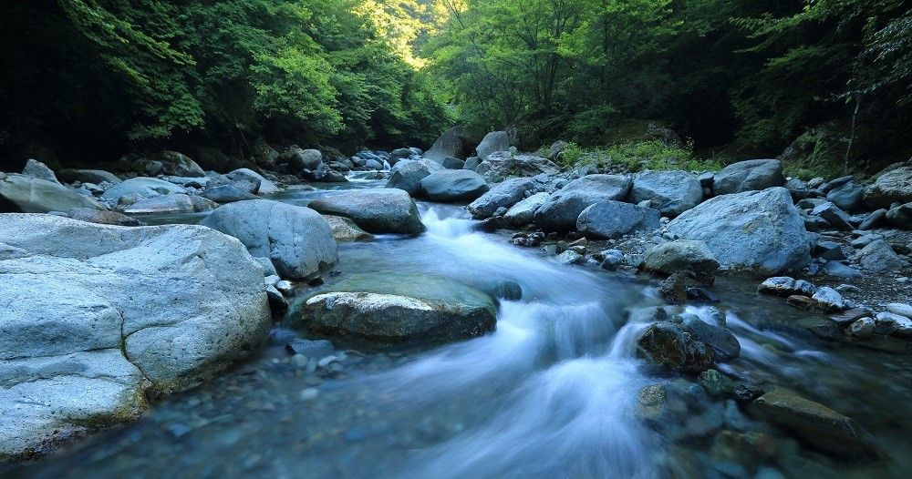 Programme Detail Getting from back end